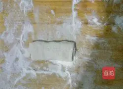 Spring roll recipe illustration 5