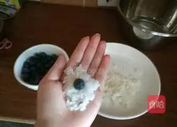 Blueberry Illustration of how to make small rice balls 6