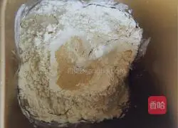 Illustration of how to make hamburger embryos 1