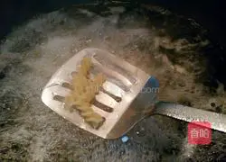 Pasta recipe illustration 5