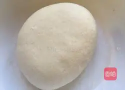 Leek Box Recipe Illustration 5