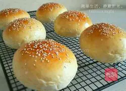 Illustration of how to make hamburger embryos (one-time fermentation) 6