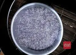 Illustration of two-color hair cake 14 