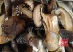 Illustration of braised mushroom rice 2