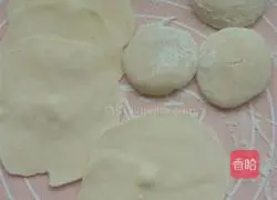 Illustration of how to make pot stickers 3