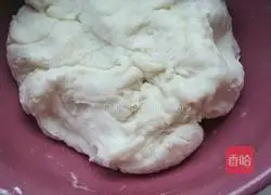 How to make pot stickers 1