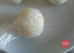 Chicken Rice Ball Bento Box Recipe Illustration 2