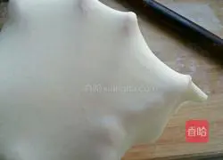 Illustration of how to make spring roll skins 10