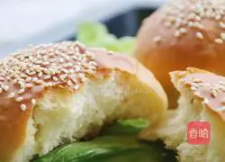 Illustration of how to make coconut hamburger embryos (Polish species) 12