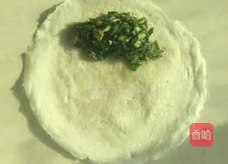 Spring rolls Practice illustration 4