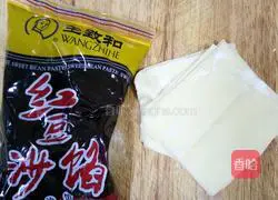 Illustration of homemade spring rolls 1