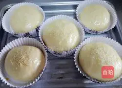 Illustration of how to make hamburger dough (hand-kneaded noodles) 9