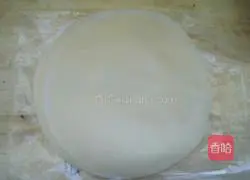 Vegetarian Spring Rolls Recipe Illustration 11