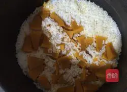 Pumpkin Bird Rice Ball Recipe Illustration 5