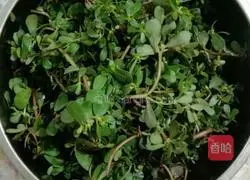 Illustration of how to make purslane steamed buns 1