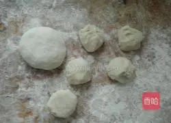 Illustration of how to make fennel meat box 5