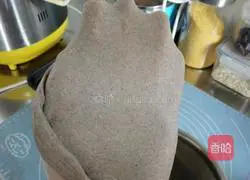 Rye and black rice hamburger recipe illustration 5