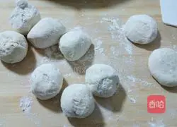 Pork and Zucchini Pot Stickers Recipe Illustration 10