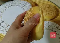 Lazy version of hamburger embryo (one-time fermentation) illustration 19