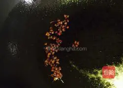 Illustration of home-style braised noodles 4