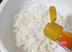 Japanese style Illustration of grilled rice balls 3