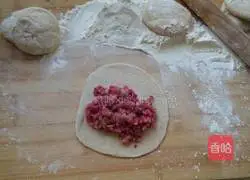 Laotan Sauerkraut Chicken Potstickers Recipe Illustration 7