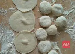 Illustration of Homemade Pot Stickers 5