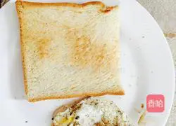 Low-fat homemade burger ~ Illustration of the perfect fitness meal 2