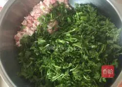 Spring roll recipe illustration 3