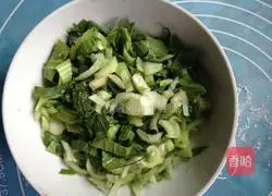 Illustration of how to make three fresh vegetarian spring rolls 2