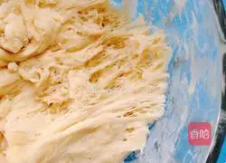 Lotus roll Practice illustration 4