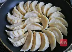 Illustration of how to make crispy pot stickers 8