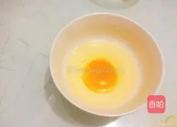 Illustration of how to make hamburger embryos 2