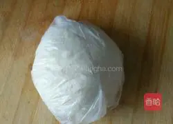 Illustration of how to make homemade pot stickers 2