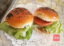  Illustration of how to make hamburger embryos 10