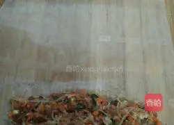 Vietnamese spring roll recipe 5