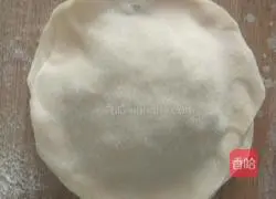 Illustration of how to make fennel meat box 14