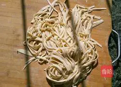 Illustration of braised noodles 6