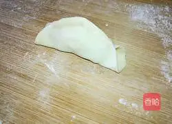 Illustration of how to make pot stickers 16