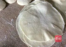 Illustration of how to make pot stickers 4 