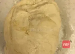 Zucchini and egg pot stickers recipe 1