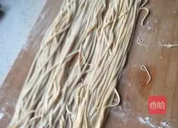 Illustration of braised beans and noodles 2