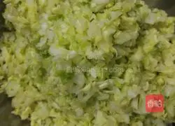 Pork and cabbage pot stickers recipe 5