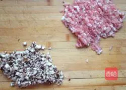 Illustration of how to make pot stickers 2