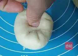 Illustration of how to make hamburger embryos 6