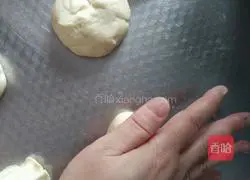 Illustration of how to make basic hamburger embryos 7