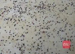 Hanamaki Practice illustration 5