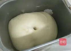 Illustration of how to make hamburger embryos 4
