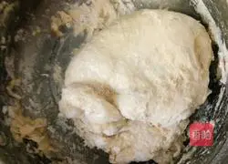 Illustration of how to make hamburger embryos 2