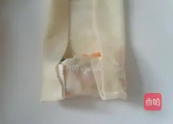 Illustrations of making homemade spring rolls 4